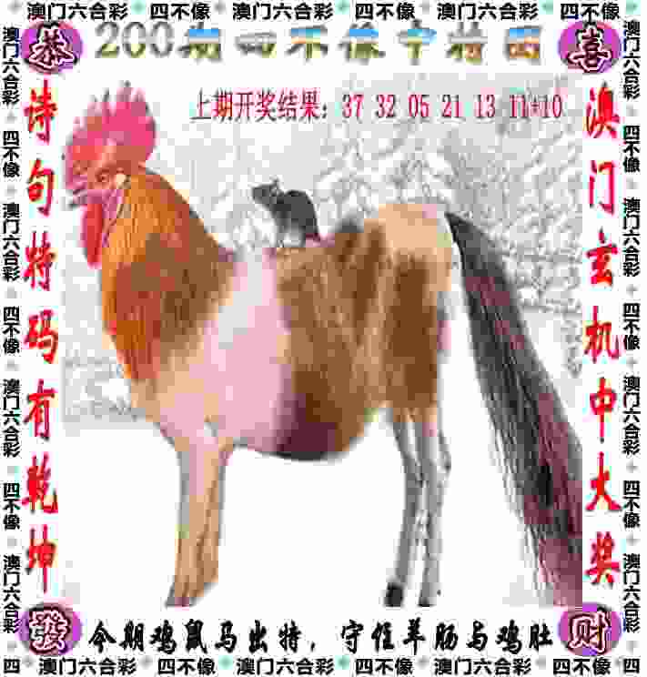 >2025新澳历史记录查询结果