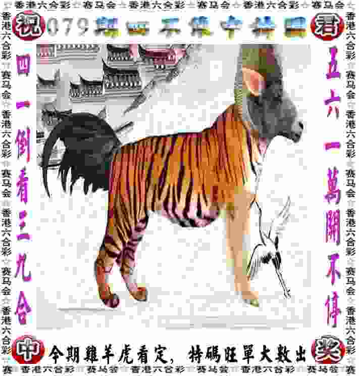 >2025新澳历史记录查询结果